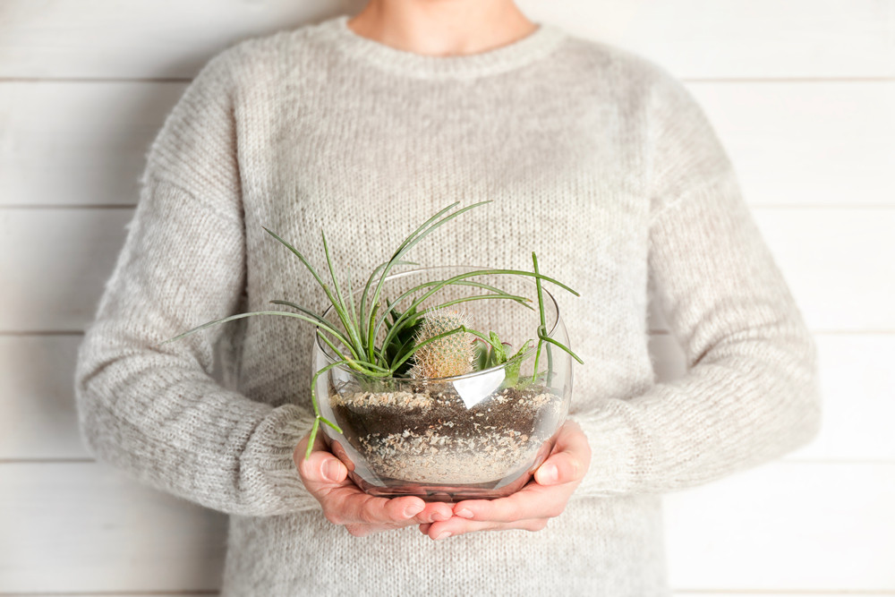 - Terrarium Workshops - Terrarium November 2023